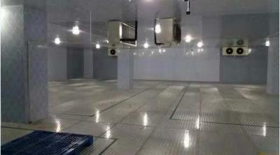 冷凍庫(kù)工程案例